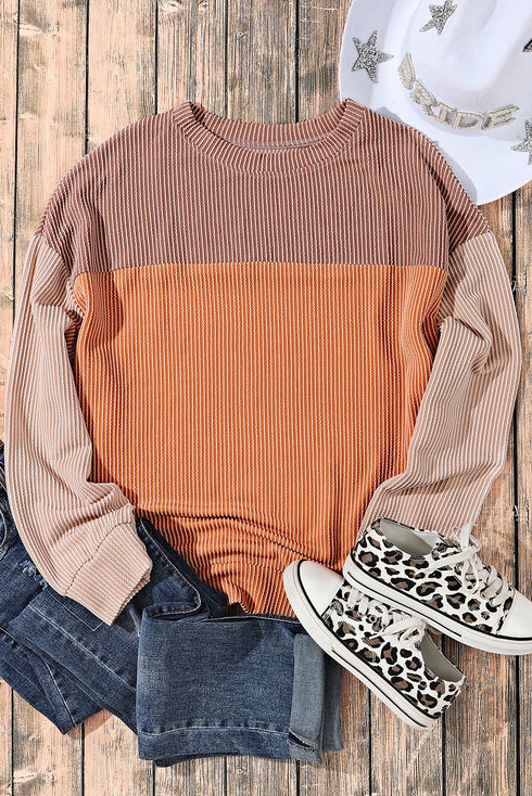 Contrast Panel Ribbed Knit Long Sleeve Pullover Top