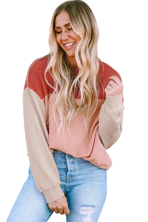 Contrast Panel Ribbed Knit Long Sleeve Pullover Top