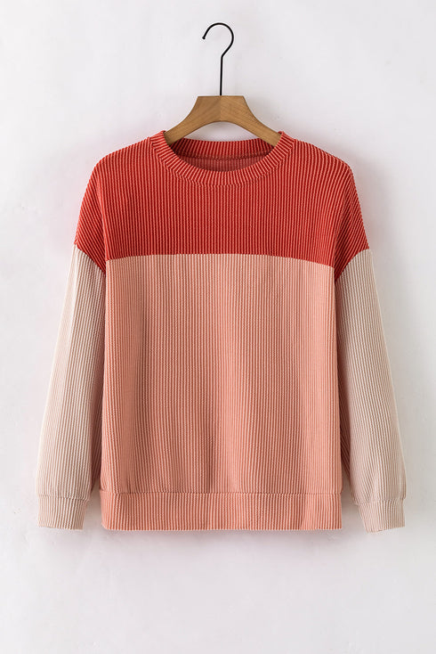 Contrast Panel Ribbed Knit Long Sleeve Pullover Top