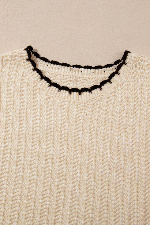 Contrast Trim Boxy Fit Knit Short Sleeve Sweater Top
