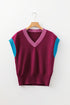 Contrast Trim V Neck Short Sleeve Knit Sweater