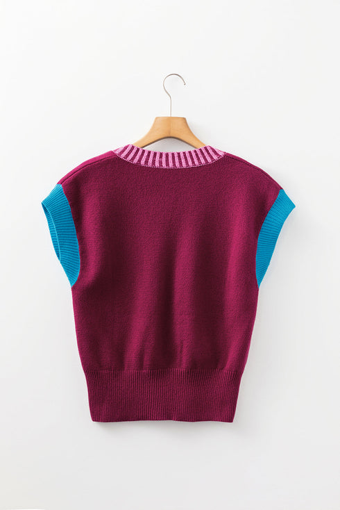 Contrast Trim V Neck Short Sleeve Knit Sweater