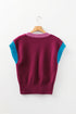 Contrast Trim V Neck Short Sleeve Knit Sweater