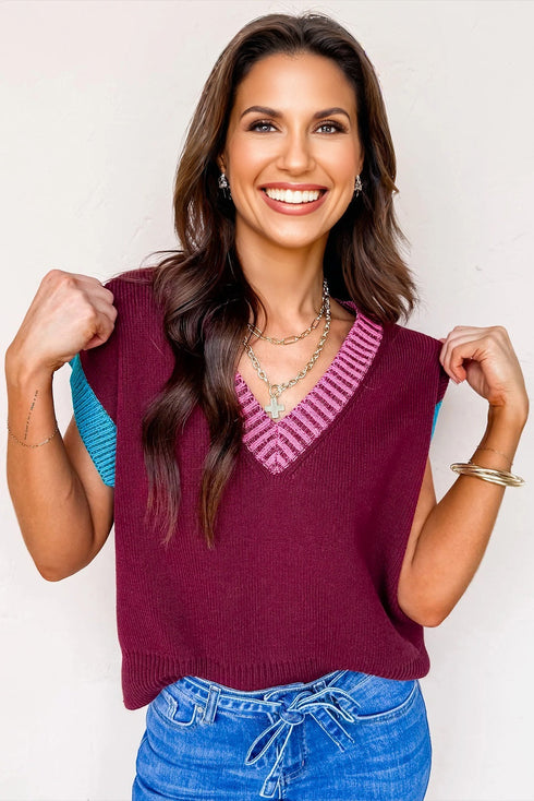 Contrast Trim V Neck Short Sleeve Knit Sweater