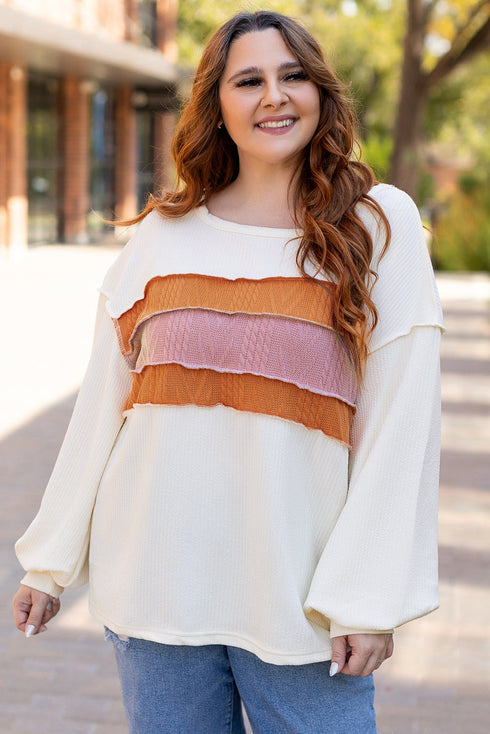 Corded Exposed Seam Textured Knit Patchwork Top