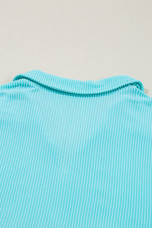 Corded Texture Collared Balloon Sleeve Babydoll Long Sleeve Top