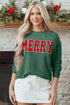 Corded Textured Graphic Print Long Sleeve Pullover Top