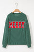 Corded Textured Graphic Print Long Sleeve Pullover Top