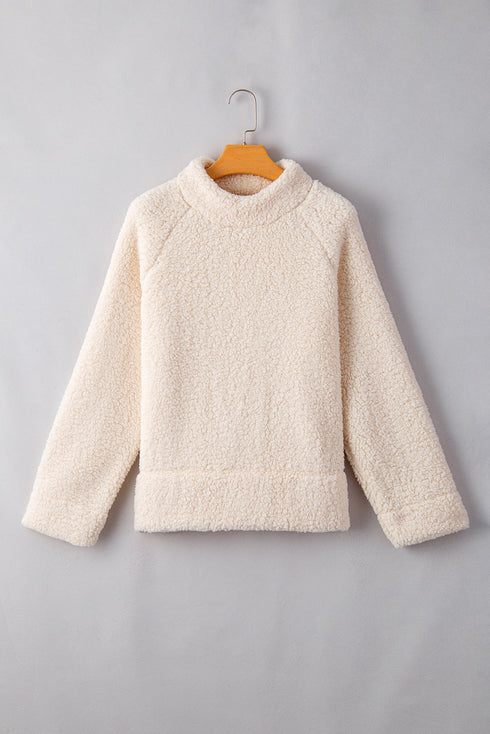 Cozy Mock Neck Textured Sherpa Pullover Top