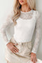 Sheer Mesh Lace Feminine Detail Long Sleeve Top