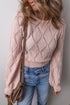 Diamond Pointelle Knit Balloon Sleeve Sweater