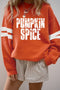 Distressed Graphic Varsity Stripe Crew Neck Sweatshirt