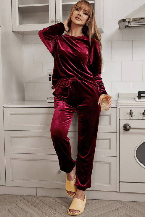 Plush Velvet Long Sleeve Top And Pant Set