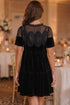 Embroidered Velvet Short Sleeve Shift Mini Dress