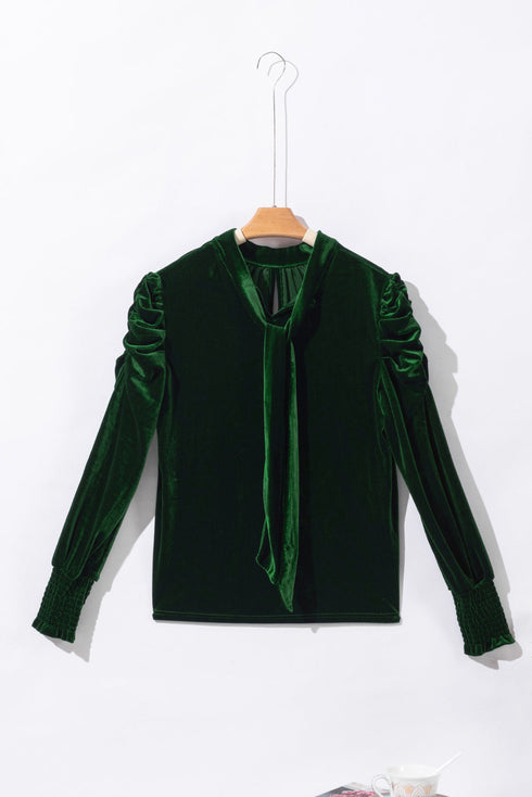 Elegant Velvet Mock Neck Keyhole Puff Sleeve Blouse
