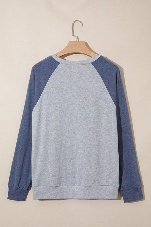 Embroidered Floral Patch Graphic Raglan Long Sleeve Top