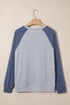 Embroidered Floral Patch Graphic Raglan Long Sleeve Top