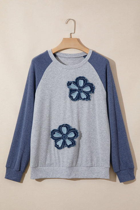 Embroidered Floral Patch Graphic Raglan Long Sleeve Top