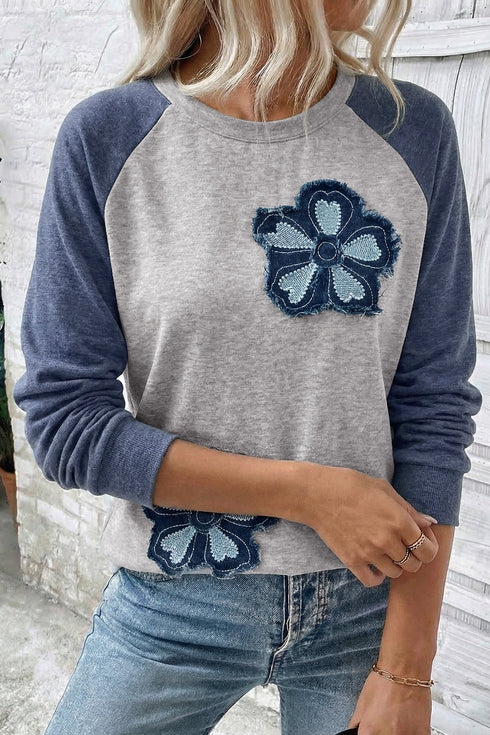 Embroidered Floral Patch Graphic Raglan Long Sleeve Top