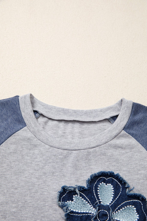 Embroidered Floral Patch Graphic Raglan Long Sleeve Top