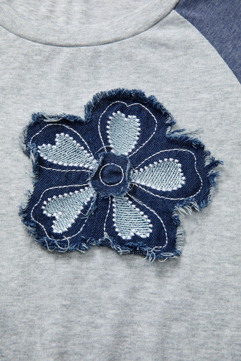 Embroidered Floral Patch Graphic Raglan Long Sleeve Top