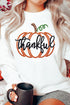 Embroidered Thankful Pumpkin Graphic Cottagecore Inspired Pullover Sweatshirt