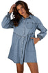 Exclusive Solid Denim Smocked Cuff Flared Shirt Mini Dress