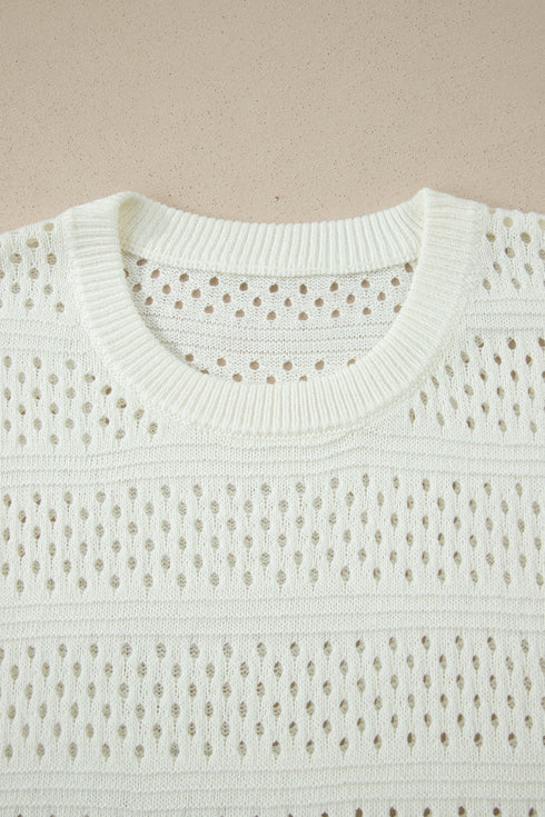 Eyelet Hollow Out Knit Ribbed Trim Short Sleeve Sweater