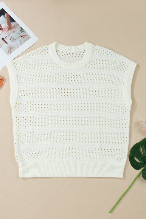 Eyelet Hollow Out Knit Ribbed Trim Short Sleeve Sweater