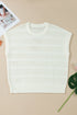 Eyelet Hollow Out Knit Ribbed Trim Short Sleeve Sweater