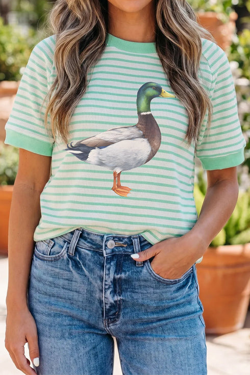 Striped Raglan Mallard Duck Illustration Graphic Tee