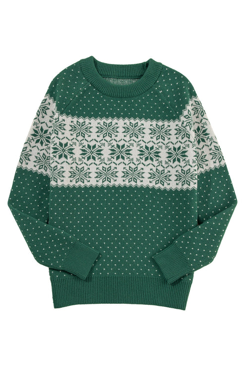 Fair Isle Snowflake Pattern Crew Neck Knit Sweater