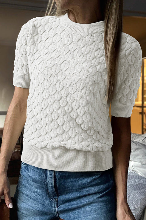 Fish Scale Texture Ribbed High Neck Short Sleeve Sweater