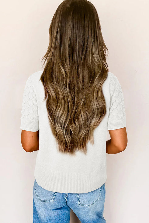 Fish Scale Texture Ribbed High Neck Short Sleeve Sweater