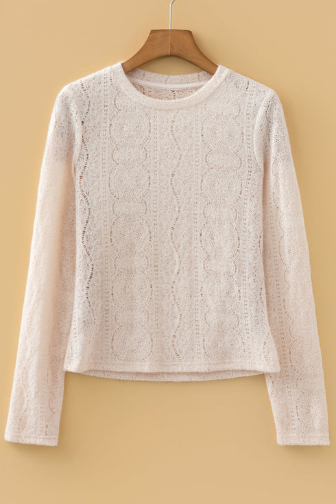 Fitted Long Sleeve Textured Lace Crew Neck Top