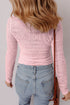 Fitted Long Sleeve Textured Lace Crew Neck Top