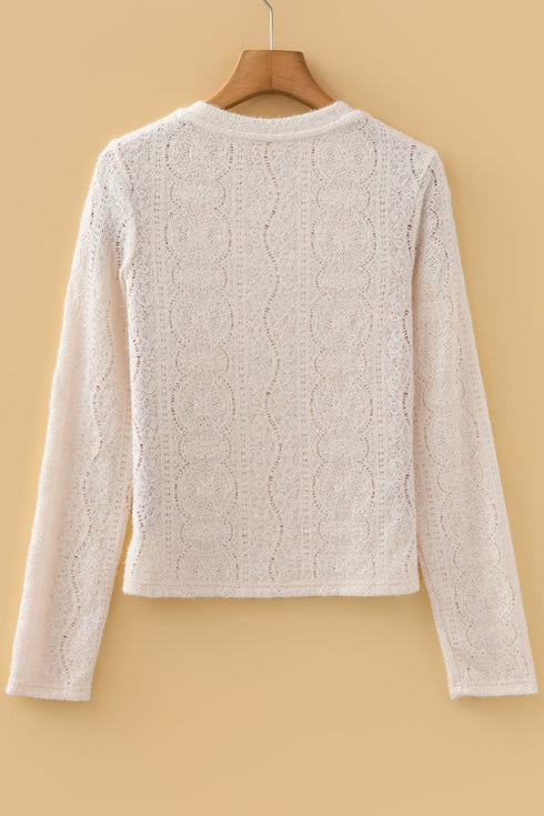 Fitted Long Sleeve Textured Lace Crew Neck Top