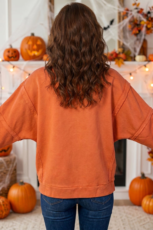 Flamingo Witchy Plaid Slogan Embroidered Patch Tunic Sweatshirt