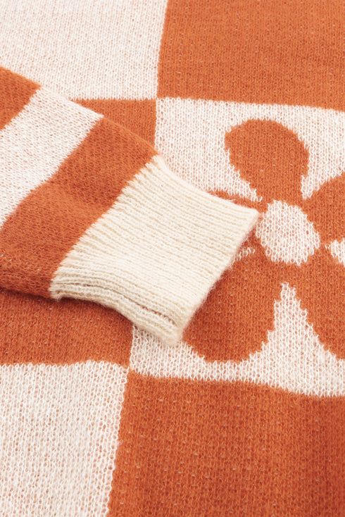 Floral Checkerboard And Striped Sleeve Pullover Sweater