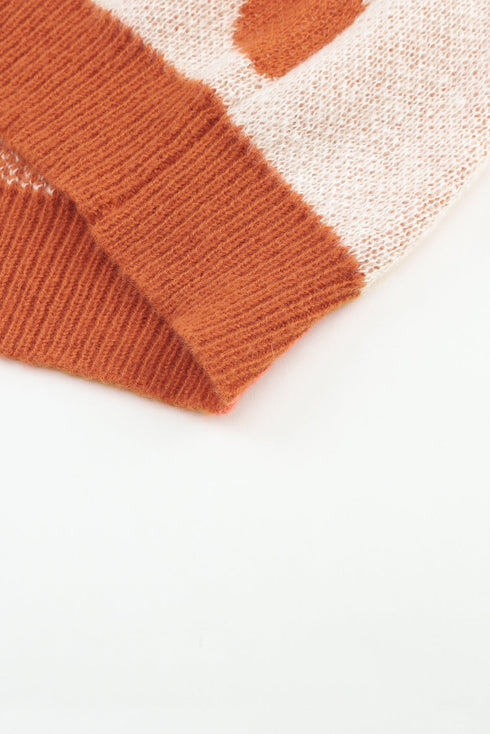 Floral Checkerboard And Striped Sleeve Pullover Sweater
