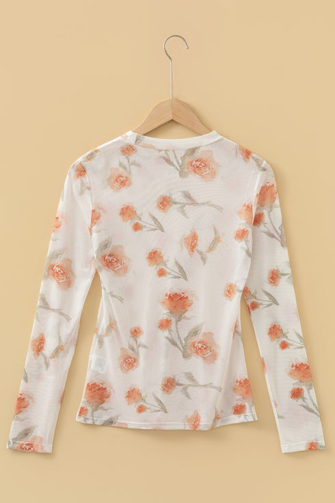 Floral Print Sheer Mesh Round Neck Long Sleeve Top