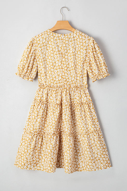 Floral Short Sleeve V Neck Frilly Tie Mini Dress