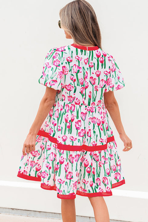 Floral V Neck Puff Sleeve Babydoll Dress