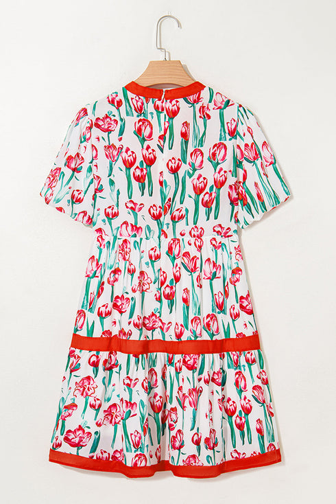 Floral V Neck Puff Sleeve Babydoll Dress