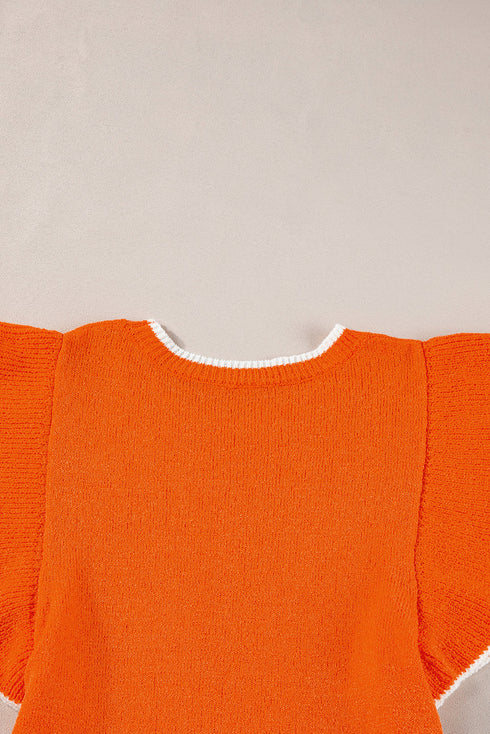 Flutter Sleeve Contrast Trim Knit Sweater Top