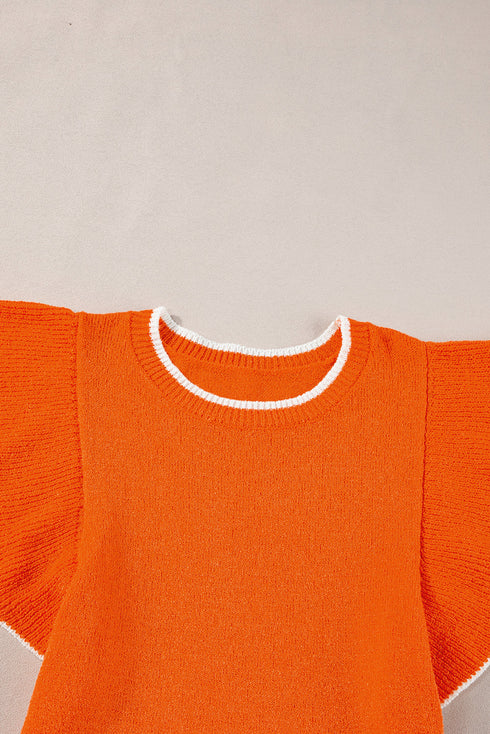 Flutter Sleeve Contrast Trim Knit Sweater Top