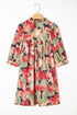Frilled Collar Half Sleeve Floral Print A Line Dress