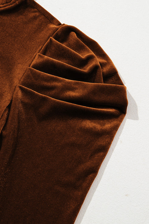 Frilled High Neck Long Puff Sleeve Velvet Top