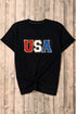 Glitter Trim Chenille USA Graphic Short Sleeve Tee