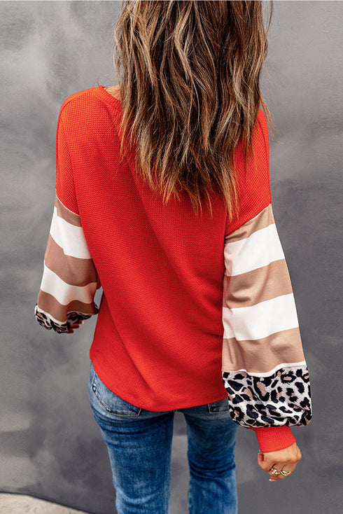 Graphic Print Leopard Striped Sleeve V Neck Top